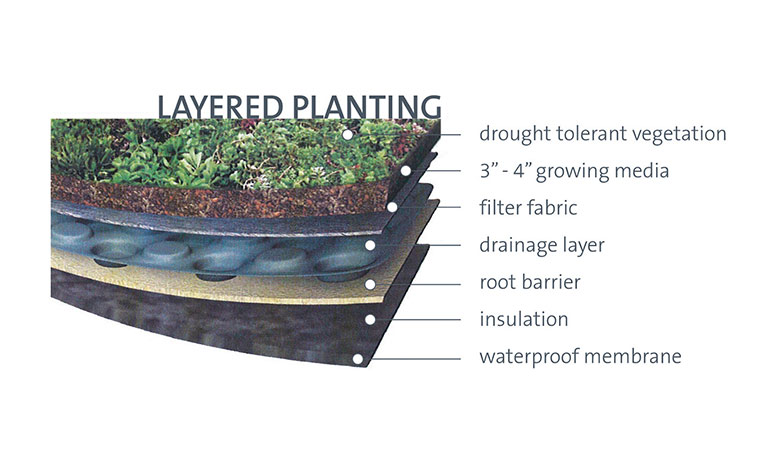 Diagram of green roof layers