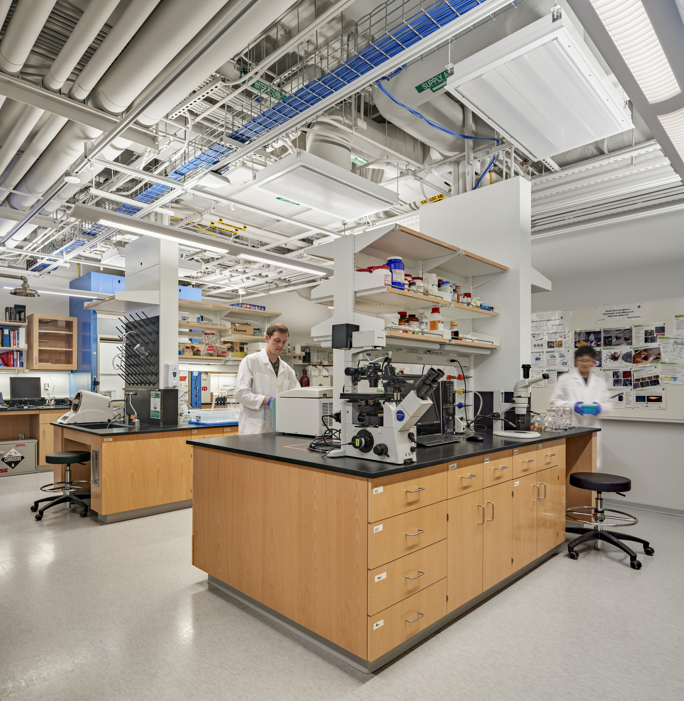 Lab
