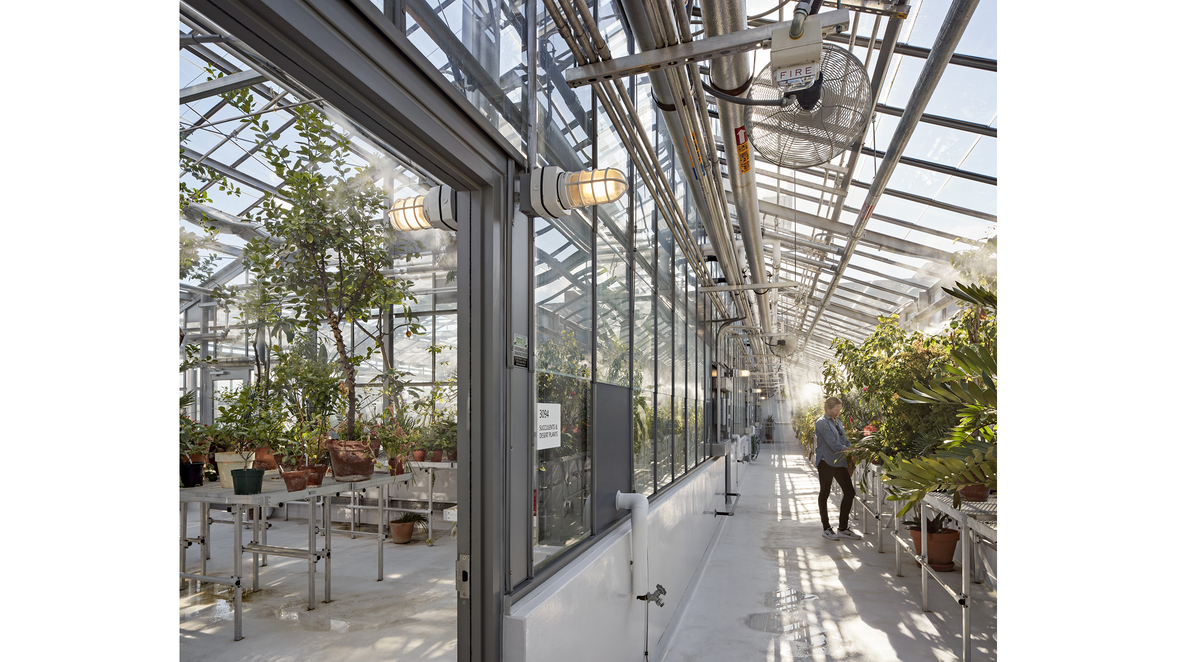 Greenhouse