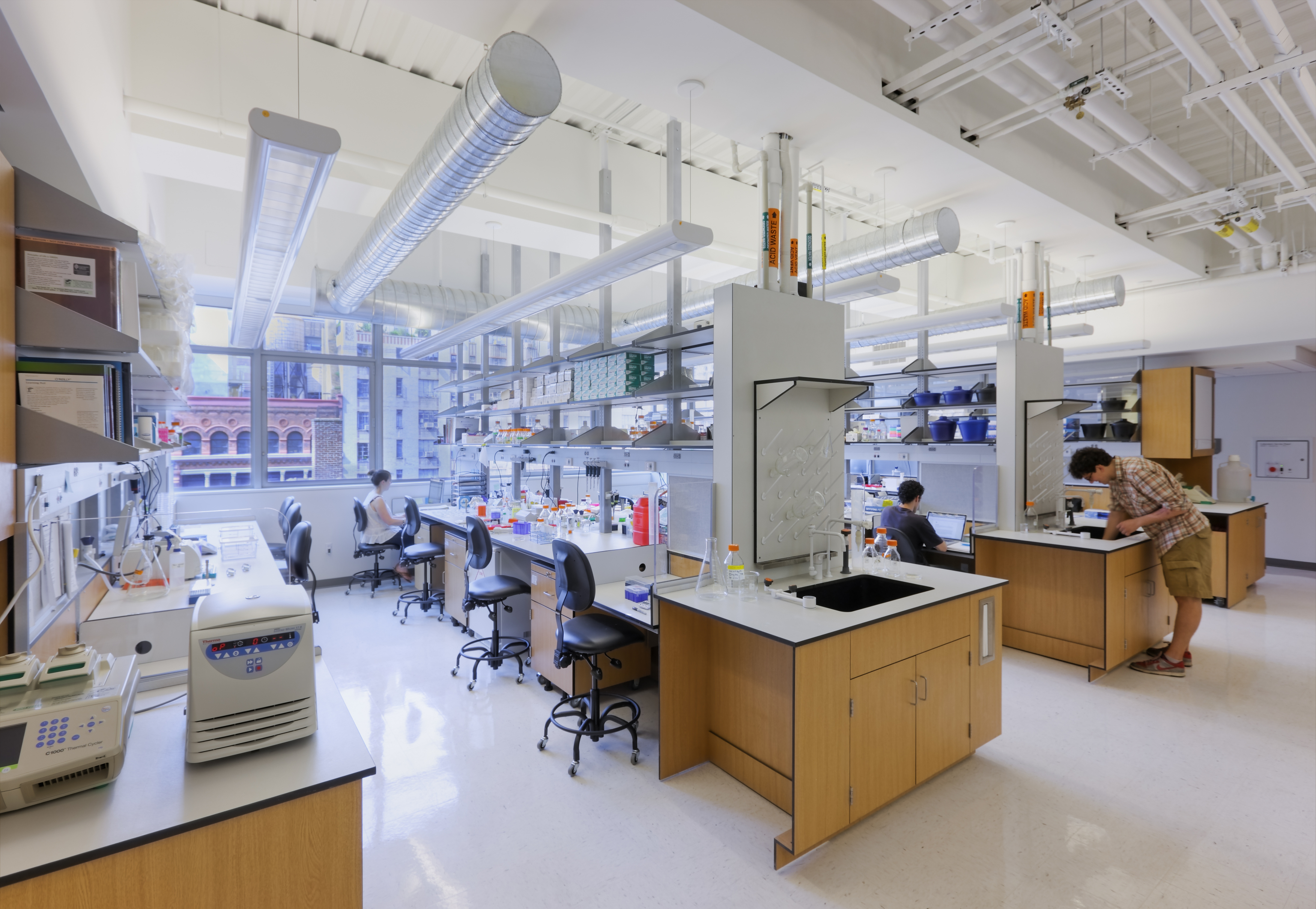 Lab