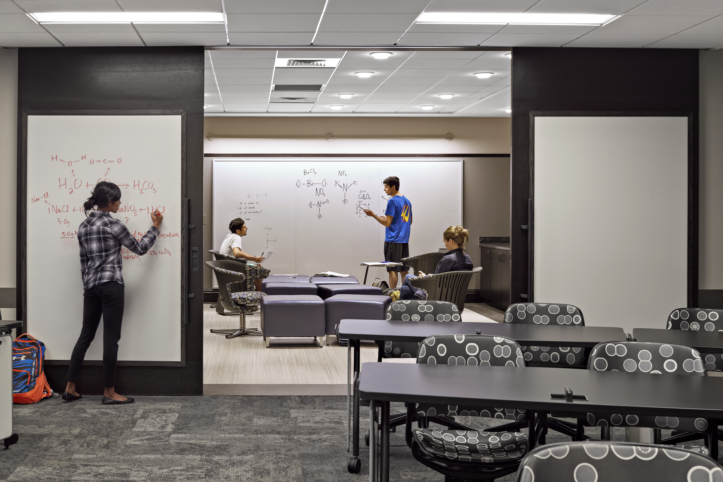 Study areas
