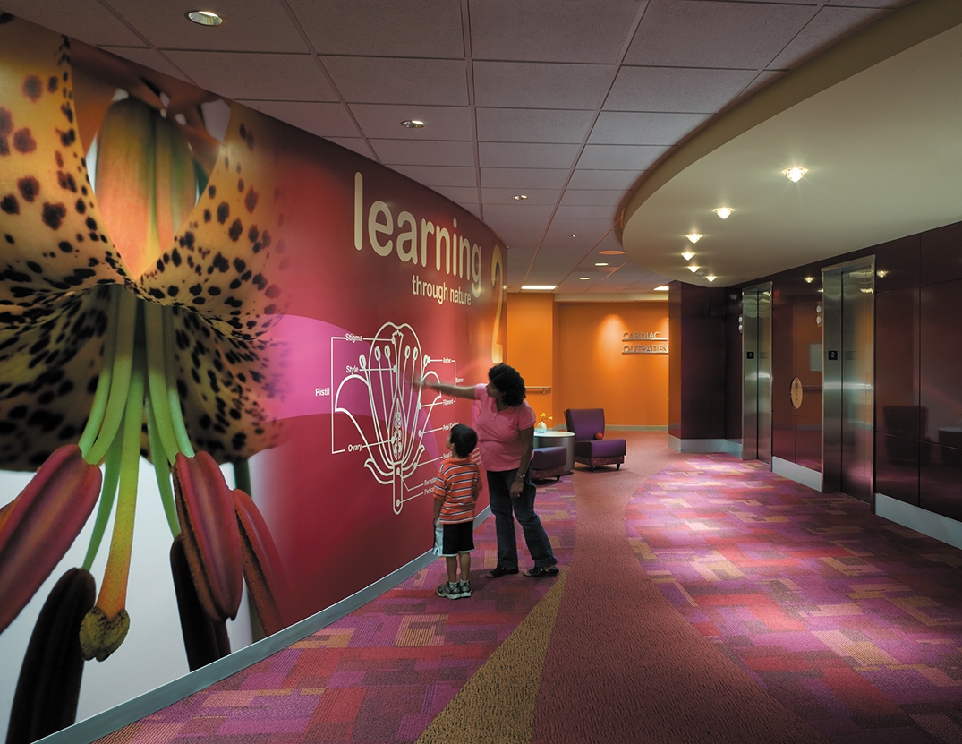 Educational walls at elevator banks