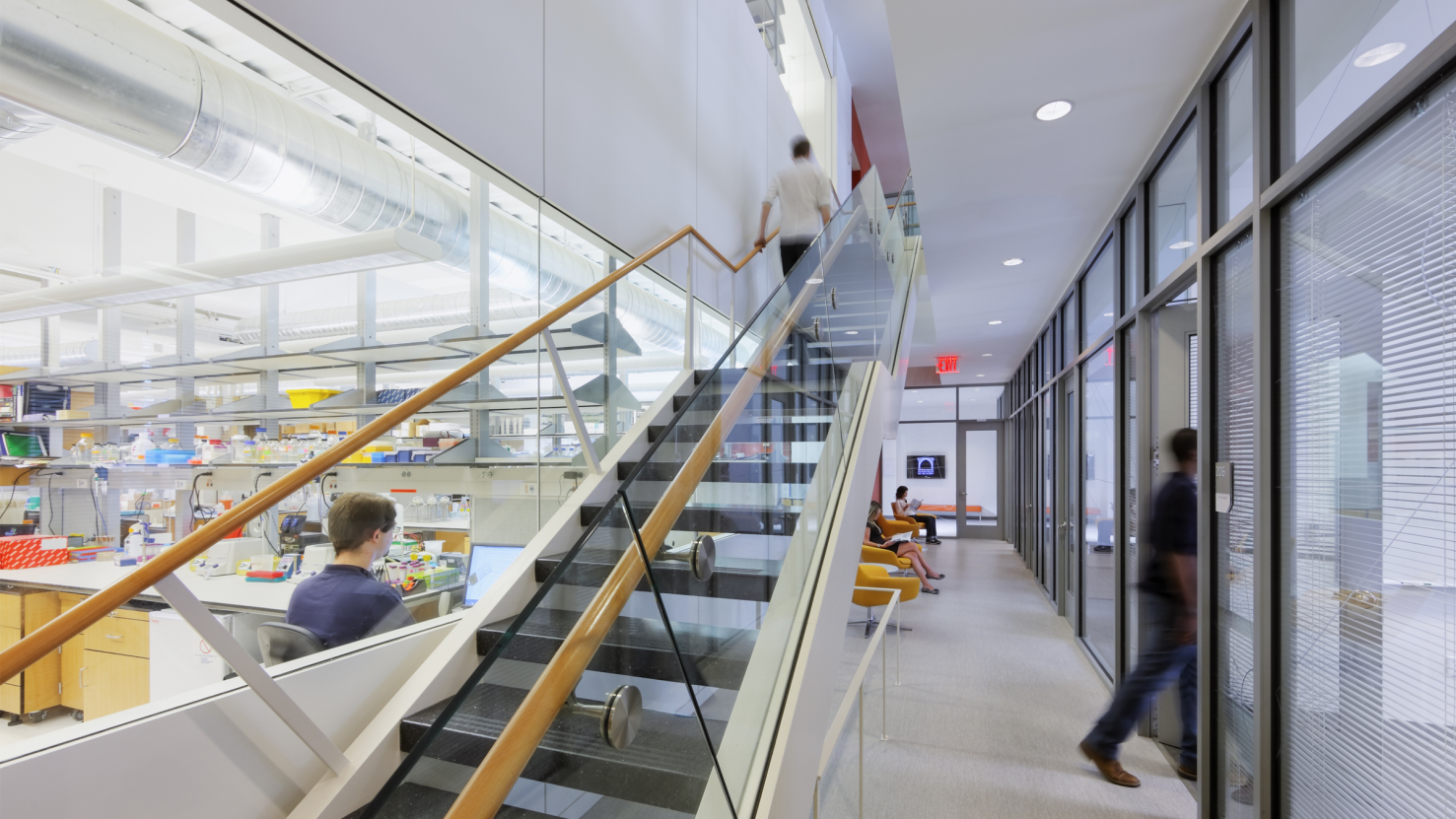 Hallway with views into lab