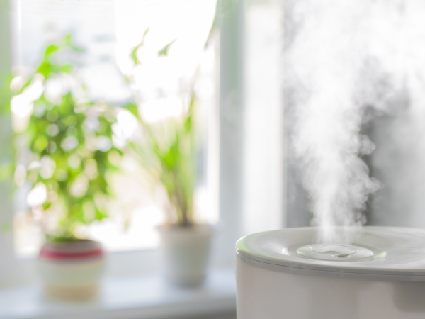 Humidifier in home