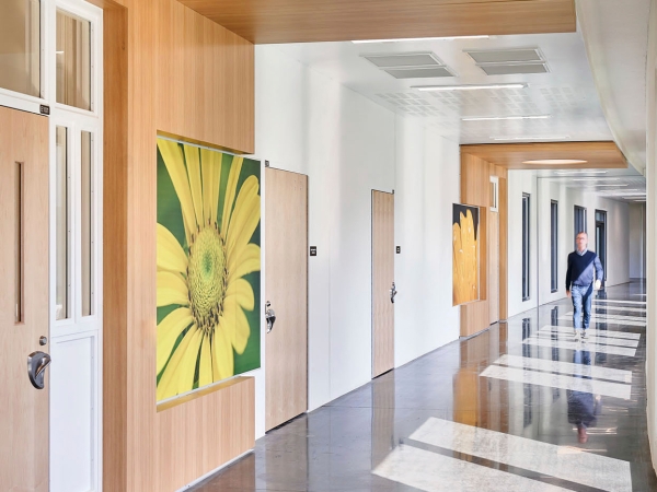 hallway filled with light with painting of yellow flower on the wall