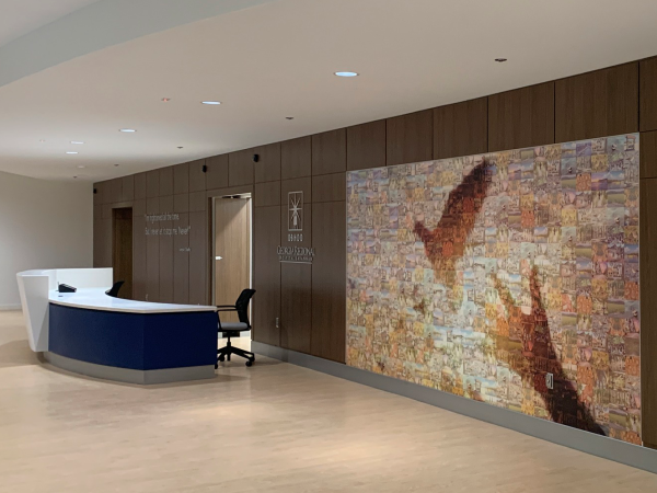 bird in flight wall mural