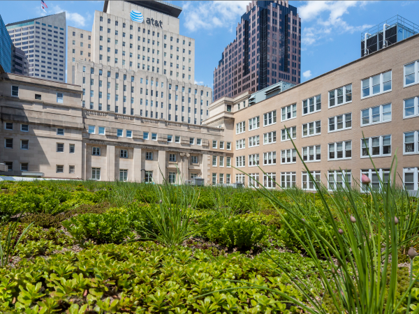 Green Roof
