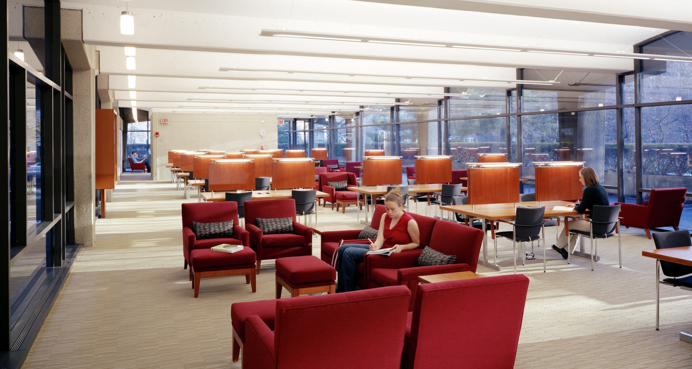 Harvard University Eyp