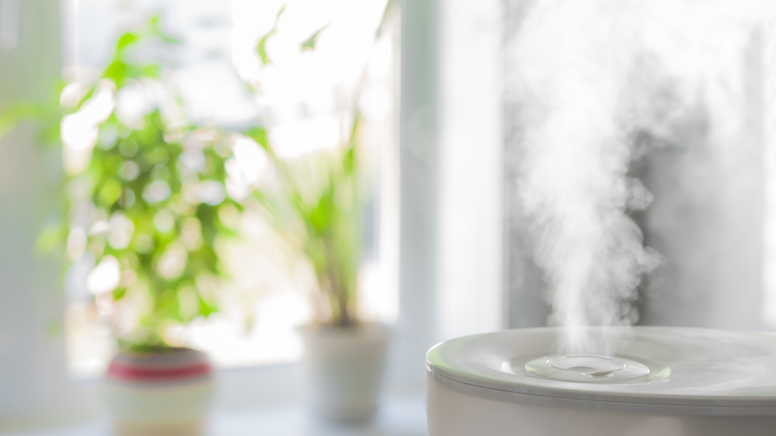 Humidifier in home