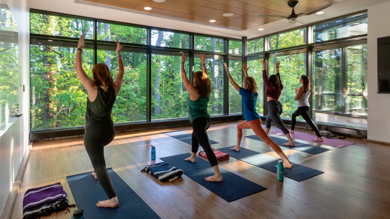 people doing yoga 