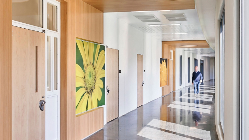 hallway filled with light with painting of yellow flower on the wall