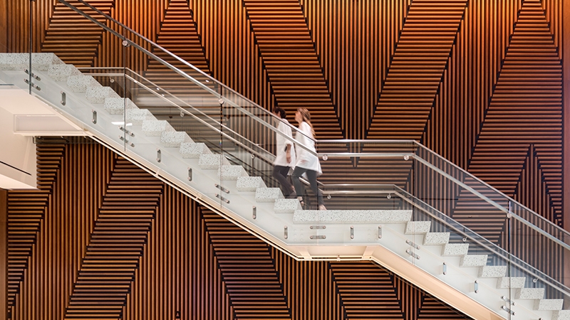 vcu walnut feature wall