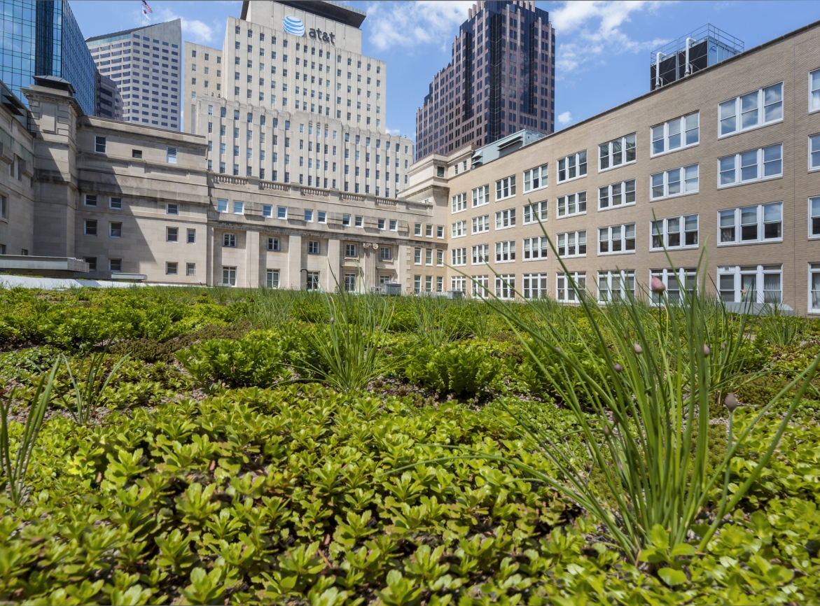 Green roof on the top of Birch Bayh Federal Building and US Courthouse